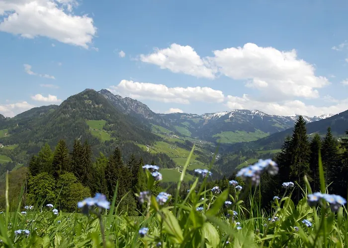 Bergchalet Rauchenhof Reith im Alpbachtal
