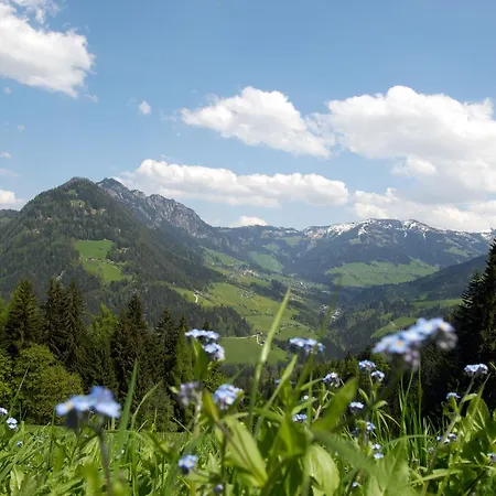 Bergchalet Rauchenhof ريث ام الباختال